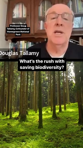 Joining the largest conservation project to regenerate biodiversity is simple - plant native (even one sq ft makes a difference) and add your plantings to our MAP! map.homegrownnationalpark.com/ Find resources for planting native on our site: homegrownnationalpark.org/find-your-resources . . . #homegrownnationalpark #dougtallamy #plantnative #environment #conservation | Homegrown National Park