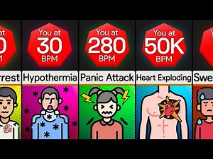 Comparison: You At Different Heart Rates