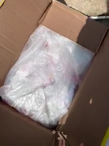 Watch WARNING!!! Arrives loose and not in manufactures box!!! on Amazon Live