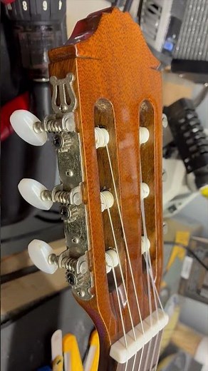 Bone Nut for a Guitar #luthier #guitarrepair #classicalguitar