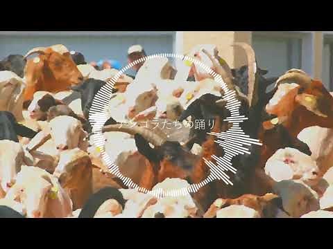 【1時間耐久BGM】アンゴラたちの踊り / まんぼう二等兵