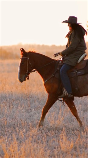 3K views · 50 reactions | This roan colt is not lacking any athleticism or colour. He has a great mind and is always ready for the next task. Chubs will be ready to go any direction that you choose and will be offered in annual March “Round Up” Sale. Creds to Boss Mare Marketing ! (JAZZ UP MY DUALLY x NIC IT LENA) #nickeddually #lakelandcollege #studentmanagedfarm #coltstarting | Lakeland College SMF Equine Unit | Facebook