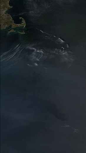 The Gulf Stream Explained America’s Climate Engine