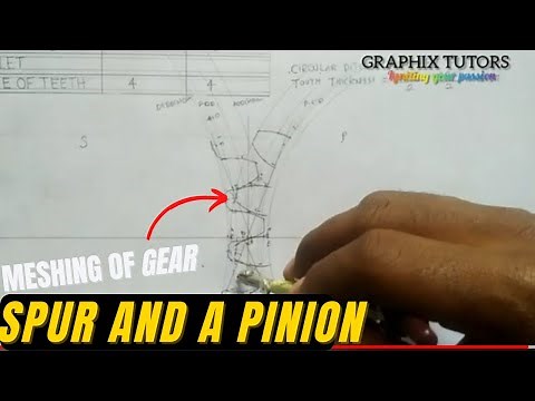 meshing gear (Involute spur gear and pinion gear) ( technical drawing)