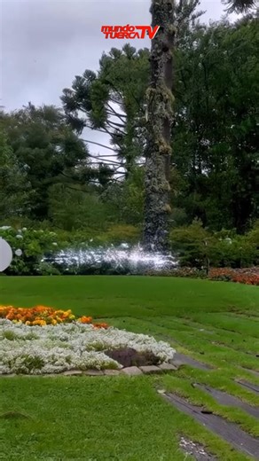 Llega el nuevo Jeep®️ Commander 2026, el SUV de 7 plazas con diseño renovado, tecnología avanzada y desempeño superior. Rafael Pires, Gerente de Operaciones de Jeep para América Latina, nos presenta la evolución del ícono de la marca. Confort premium, ADAS Nivel 2 y auténtico ADN todoterreno Jeep. Aventura con elegancia. Potencia con propósito. #JeepCommander2026 #Jeep #ADNJeep #SUV7Plazas #JeepLatam #AventuraConEstilo 🚙 | Mundo Tuerca