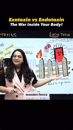 Dr. Anusha Rathi | Microbiology on Instagram: "Bacteria at war: arrows vs time bombs. 🦠💣 Gram-positive bacteria shoot out exotoxins like arrows, released outside the cell. Gram-negative bacteria carry endotoxins tiny time bombs that explode only when the cell breaks. . . . . . . #microbiology #mbbsnotes #medstudentlife #exotoxin #endotoxin #grampositive #gramnegative #bacteriology #mededindia #pwmeded #studywithme #conceptlearning #shortnotes #usmleprep #neetpgprep #medicalreels #dranusharathi