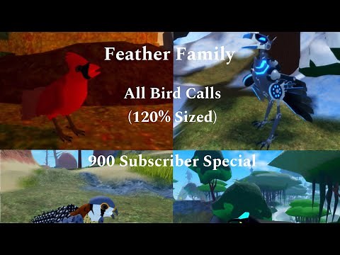 Feather Family | All Bird Calls (120% Sized | 900 Sub Special