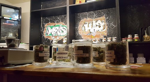 I Cannabis Social Club invadono Madrid: cosa sono e come funzionano