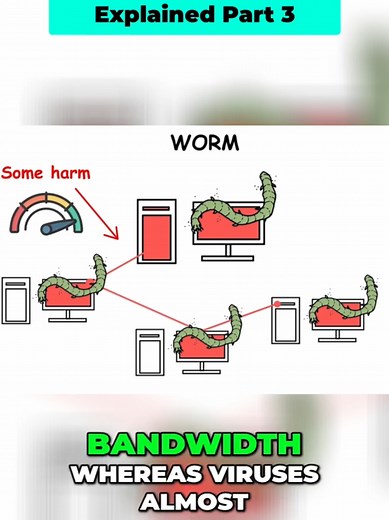 Understanding Computer Worms: Protect Your Network