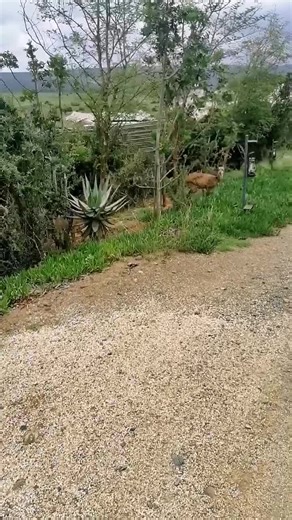 Just a normal day at work