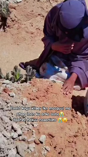 Exploring Traditional Planting Techniques in Somali Culture