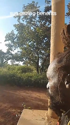 1.5K views · 28 reactions | KING JAH FIRE telling us the Benefits of  SUN | Skylight Promotions | Facebook