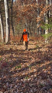 55K views · 163 reactions | The ALPS OutdoorZ Dialed-In Rifle Vest. Now available! #alpsoutdoorz | #exceedyourexpectations | #ALPSintheOutdoorZ | #orangevest | #huntingvest | #hunting | #alpshunting | ALPS OutdoorZ | Facebook