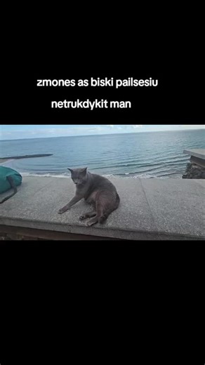 munis (@.munis001)’s videos with original sound - munis