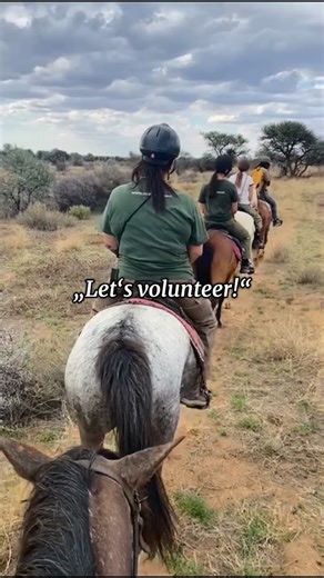 The streets say Naankuse is the place to be👀 #namibia #volunteer #naankuse #conservation #animals | N/a’an ku sê Foundation