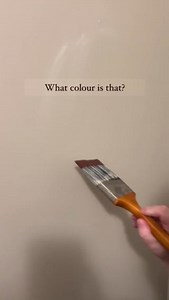 This gorgeous brown powder room uses Nicolson Red by Benjamin Moore. Use this perfect brown paint to elevate your powder room.📹:reunioninteriors #benjaminmoore #powderroominspo #brownpaint #samplize | Samplize