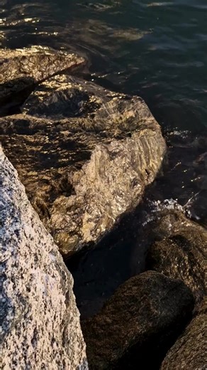 The Way Meditation App on TikTok