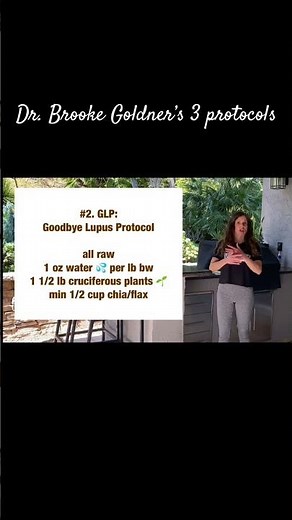 Dr Brooke Goldner Three Protocols Explained