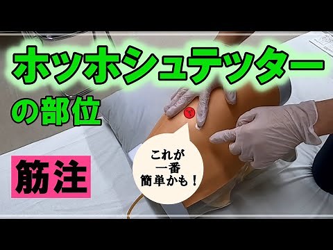 【ホッホシュテッタ―の部位】透明モデル（模型）を使って解説します。＃筋肉内注射＃おしりに注射＃看護技術