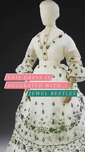 1.1K views · 28 reactions | For #WorldWildlifeDay, the Victoria and Albert Museum recently shared a fascinating 19th century dress from their collection decorated with jewel beetles!  | Museums News | Facebook