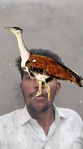 New circle ⭕ Puzzle 🧩 game 🎯 challenge #puzzle #viral #reels #game #fbreelsfypシ゚viralシ #fbreelsfypシ゚ #challenge | circle challenge