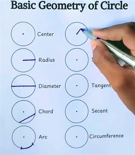 Basic Geometry Of Circle🔵|| Basic Information || #studymaterials #basicmaths #circle #amritayadav672