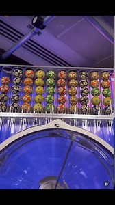 3K views · 19 reactions | It’s the 25th September so here are some facts about ball 25! #gina49s | 49's | Facebook