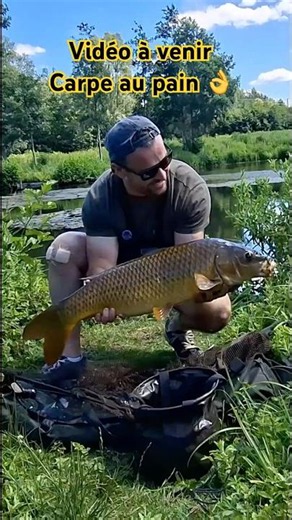 Surface carp fishing with bread #fishing #carpfishing #carp