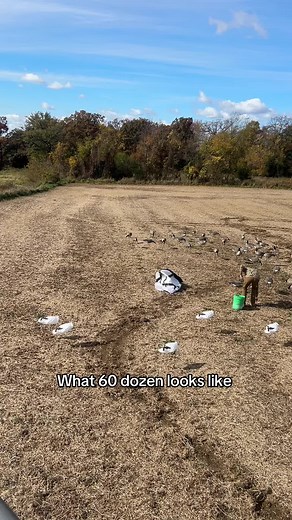 Preparing for Waterfowl Hunting Trip Essentials