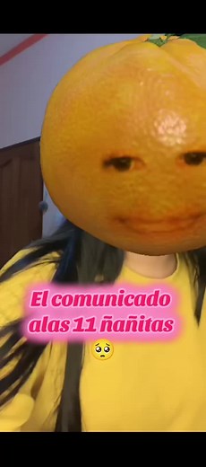 @🍊🥷𝙈𝘼𝙉𝘿𝘼𝘿𝙄𝙉𝘼 #mandarina el comunicado ñañitas qué será .... preparence 🥺