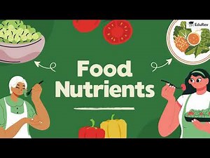 Chapter 5: Food : Our Basic Need - Class 4 || Science || NCERT