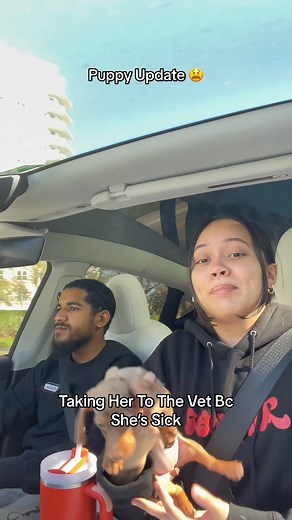 We know she’ll get better soon🫶🏻 we’re super worried keep baby simba in your prayers | Alex & Jessica