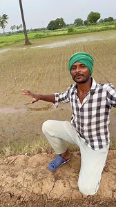 కాలం ముతిమతి తప్పింది……..???#farm #farmerlife#raithukastalu😪 #raithubidda💪💪✊✊🌾🌾🌽🌽🚜🚜 } #raithubidda💪💪✊✊🌾🌾🌽🌽🚜🚜 #farmlifestyle #village #villagelife #villagelifestyle #telugu #telangana #nalgonda #suryapet #warangal #yadadri #telugureels #telugureels❤️ #bighosstelugu #pallaviprashanth #barrelakka #revanthreddy #insta #instagood #instagram #reelsinstagram #reels #telugucomedymemes | Suresh Farmerr
