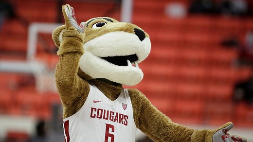 Mascot Mania: How the Cougars became the Cougars