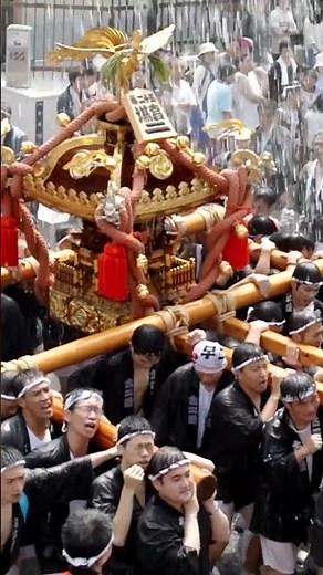 Fukagawa Hachiman Festival, Tokyo #Japan #Matsuri #festival #japanesefestival #summerfestival