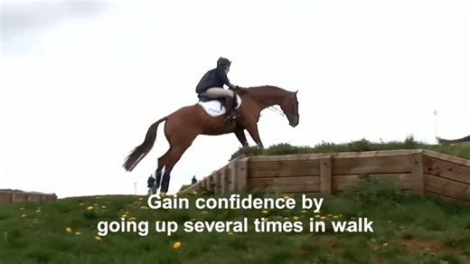 Cross Country Jumps – Drops and Steps 🐎 Horses should learn early in life to climb up and drop-down banks use these in training as well as, riding over undulating ground to help them develop balance and confidence. When you first introduce a bank make sure it is small and walk up it several times before turning round and coming down in the same place. As a rider it’s important to maintain your balance, be ready to lean back and open your fingers. Make sure you allow your horse to stretch his he
