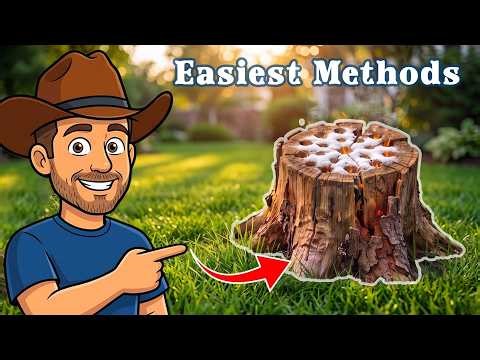 How To Remove A Tree Stump From the Ground - The Quickest and Easiest Method