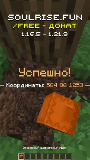 Айпи сервера: soulrise.fun #funtime #soulrise #reallyworld #holyworld #анархия