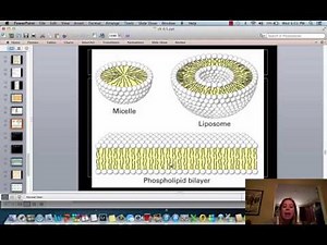 Macromolecules Part V