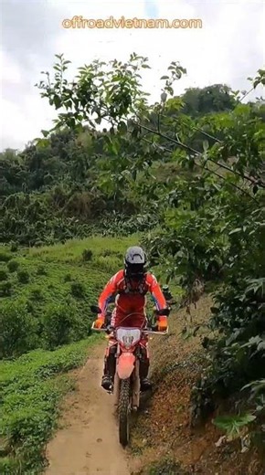⚙ Freedom Through Unknown Paths ⚙️ Vietnam Motorbike Tours #vietnam #motorcycle #motorbike #tours