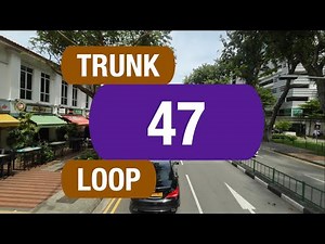 SBS Transit Trunk 47 | Bus Service Route Visual