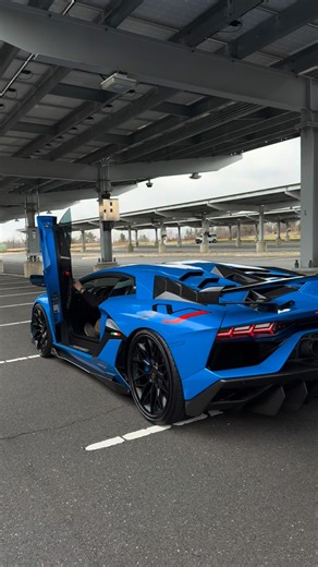 Tuck Spots on Instagram: "Novitec SVJ #lamborghini #svj #supercars"