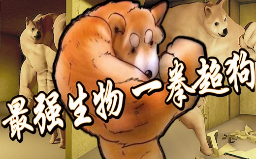 外国都市传说，存在于后室的肌肉猛狗《Backrooms》《buff doge》