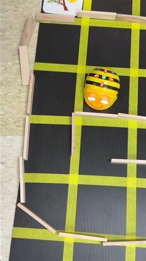 MES Grade 1: All About Bees, Bee Bot Style #2