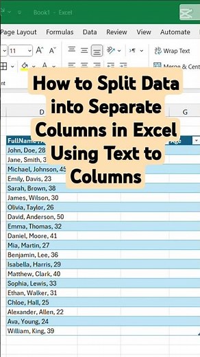 How to Split Data into Separate Columns in Excel Using Text to Columns