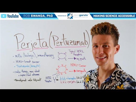 How does Perjeta (Pertuzumab) Breast Cancer Treatment Work? | LaRue Highsmith