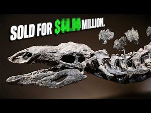 Why Is This 150-Million-Year-Old Fossil So Valuable? | Documentary