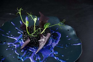 Our Seasonal Menus | Delicious Dining In Dublin 2