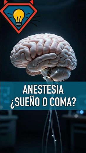 Anesthesia: Sleep or Controlled Coma? 💉🧠 #Science #Medicine #Health #Anesthesia #FunFacts
