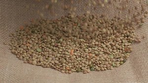 Dry lentils legume falling slow motion on jute, organic agriculture, Mediterranean food, healthy nutrition